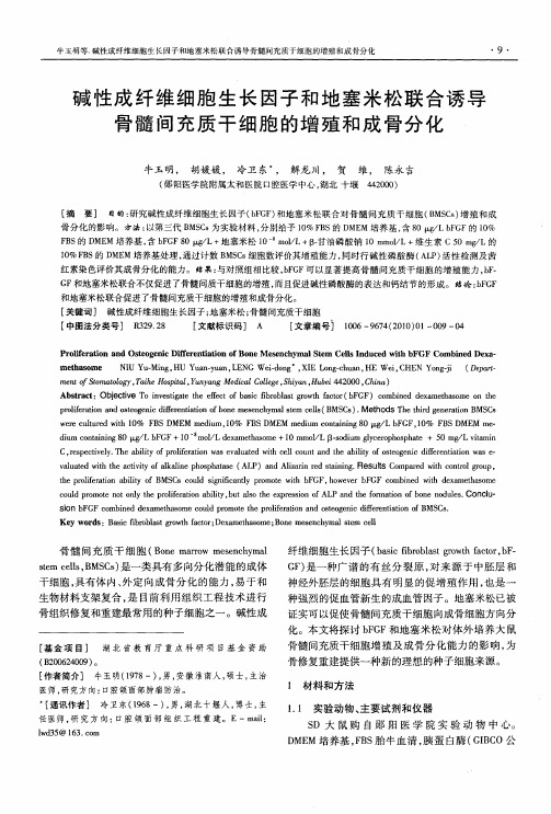 碱性成纤维细胞生长因子和地塞米松联合诱导骨髓间充质干细胞的增殖和成骨分化