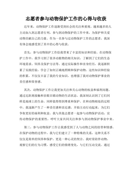 志愿者参与动物保护工作的心得与收获