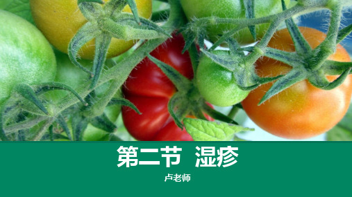 湿疹(针灸治疗学)