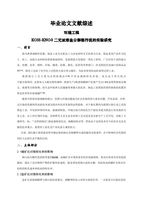 KOH-KNO3二元亚熔盐分解铬污泥的实验研究[文献综述]
