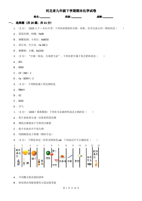 河北省九年级下学期期末化学试卷