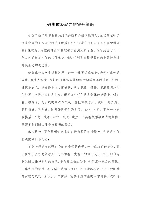 新教师论文班级管理