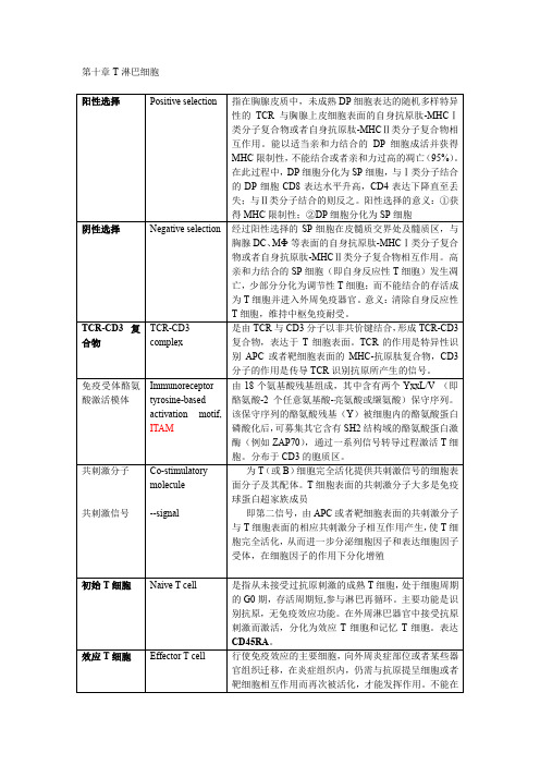10 T淋巴细胞