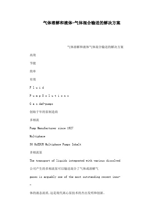 气体溶解和液体-气体混合输送的解决方案(可编辑)