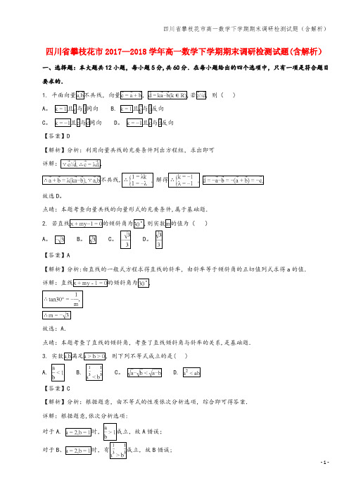 四川省攀枝花市高一数学下学期期末调研检测试题(含解析)