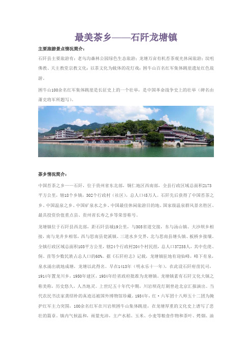 最美茶乡——石阡龙塘镇