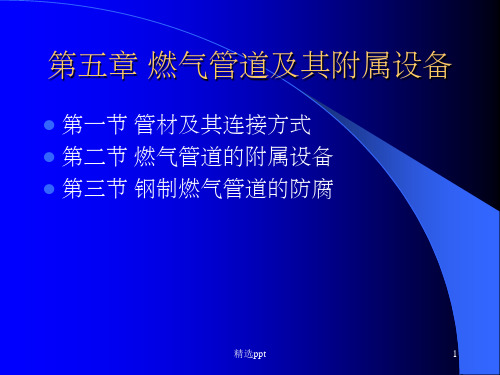 燃气管道及其附属设备ppt课件