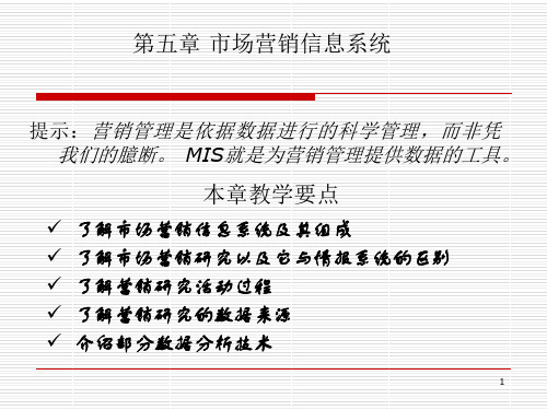 第五章-市场营销信息系统