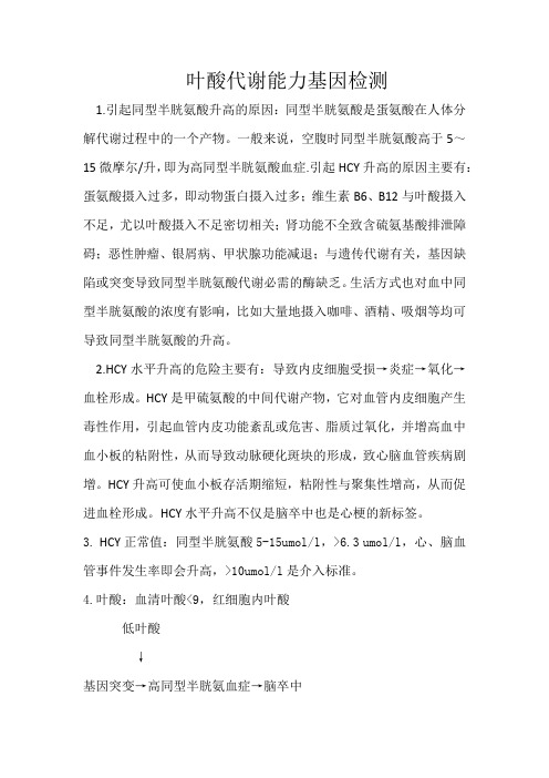 H型高血压