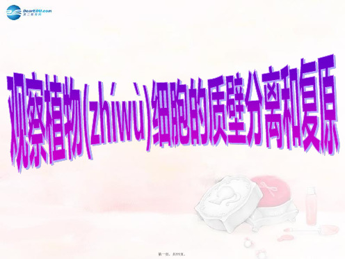 高考生物大一轮复习 实验专题 观察植物细胞的质壁分离和复原课件 苏教版