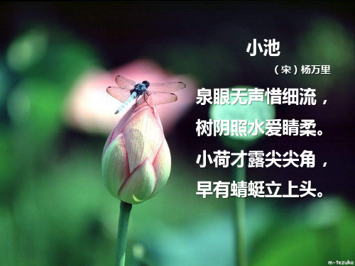 《多彩的夏天》ppt课件(2篇)