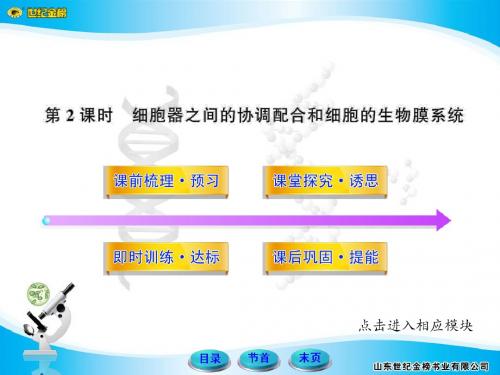 3.2.2细胞器之间的协调配合和细胞的生物膜系统(人教版必修1)