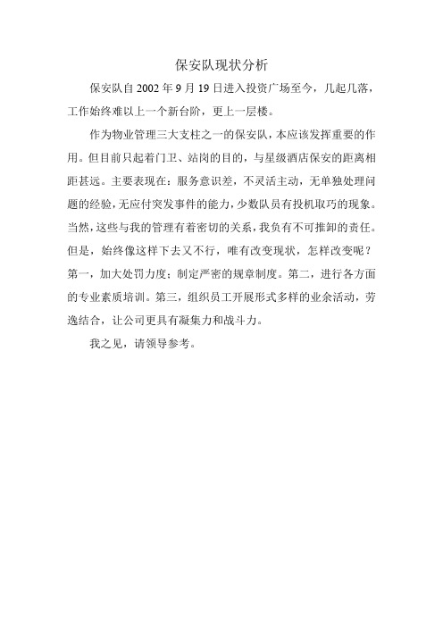 保安队现状分析