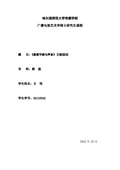 影视节奏与声音文献综述