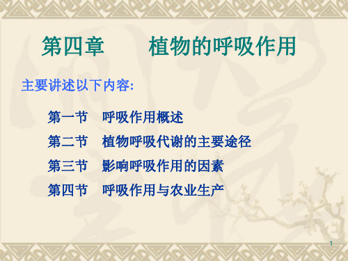《植物生理学》第五章 呼吸作用ppt课件
