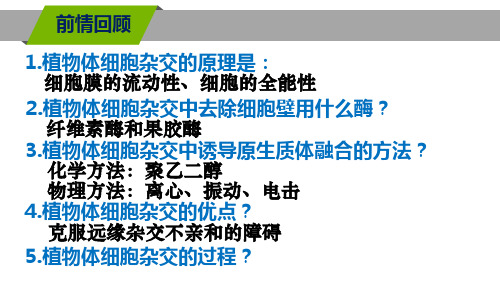 人教版高中生物选修3课件  2.1.2植物细胞工程的实际应用