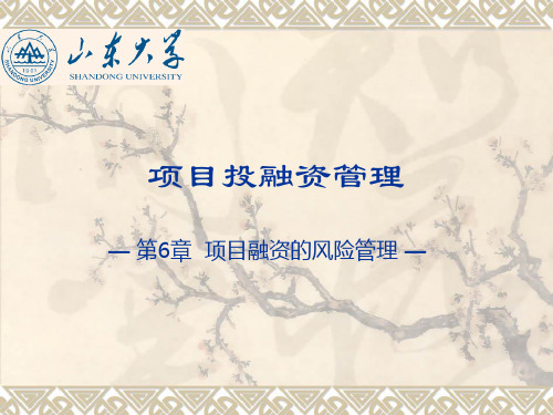 第6章 项目融资的风险管理