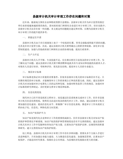县级审计机关审计审理工作存在问题和对策