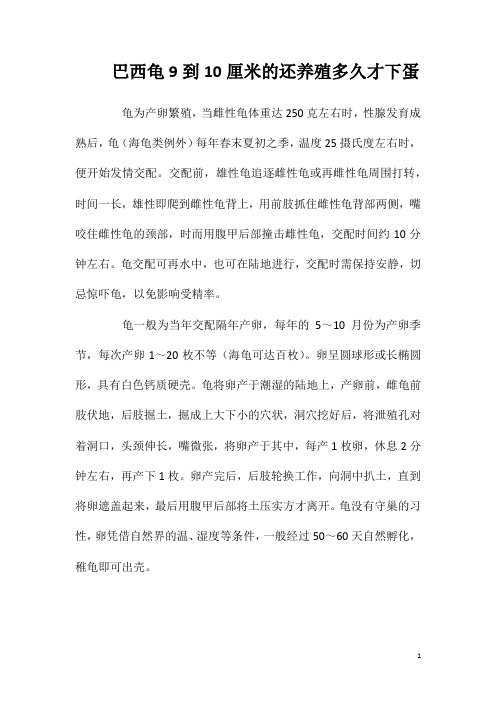巴西龟9到10厘米的还养殖多久才下蛋