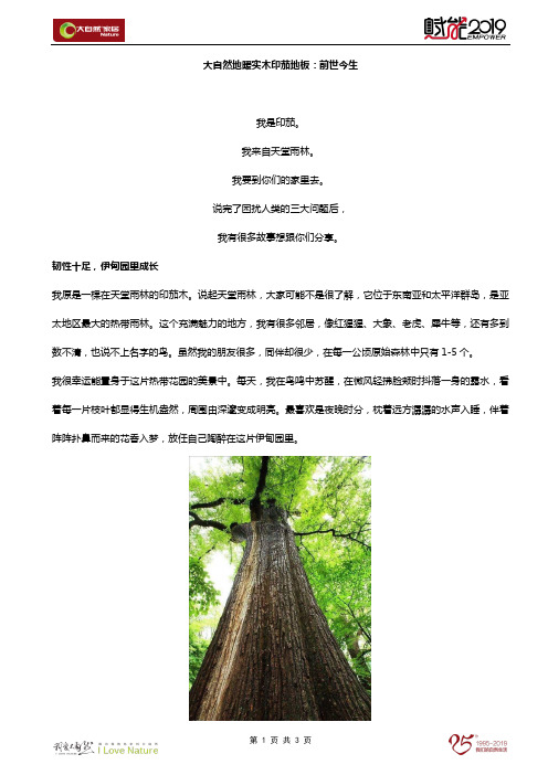 大自然地暖实木印茄地板：前世今生