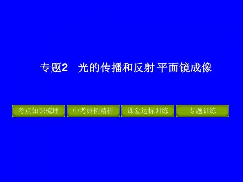 2012年中考物理冲刺 专题2 光的传播和反射 平面镜成像
