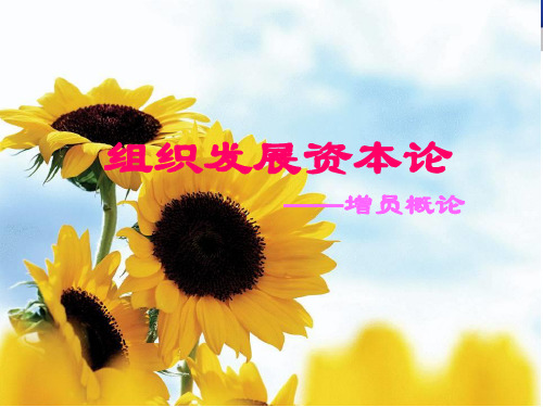 人寿保险组织发展论