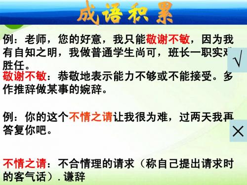 句式杂糅专题复习精品课件