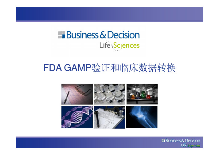 FDA GAMFDA GAMP验证和临床数据转换