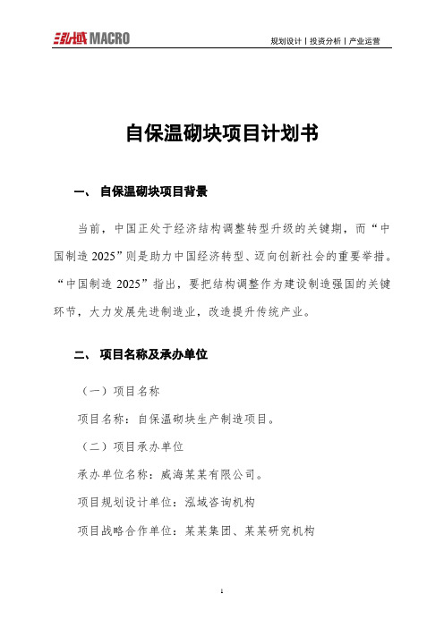 自保温砌块项目计划书