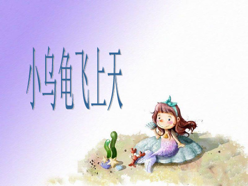 《小乌龟飞上天》课件3