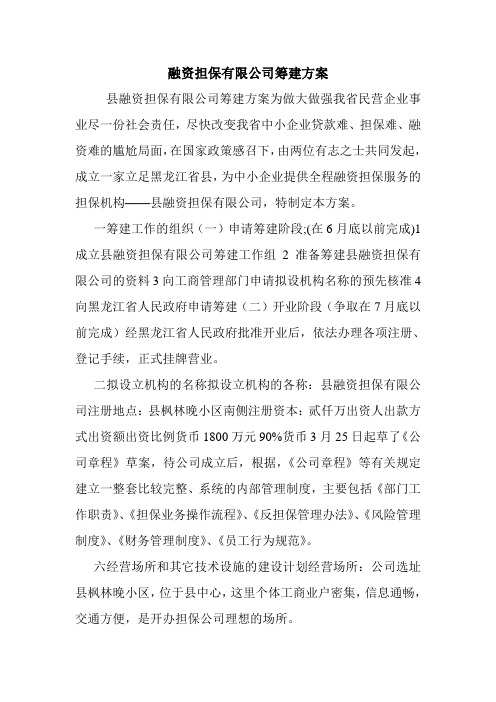 融资担保有限公司筹建方案.doc