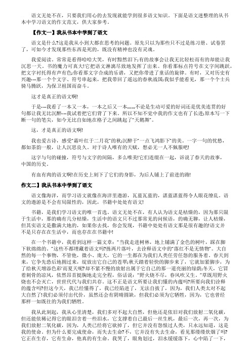 优秀七年级作文我从书本中学到了语文