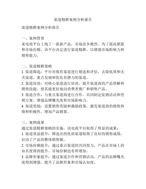 渠道精耕案例分析报告