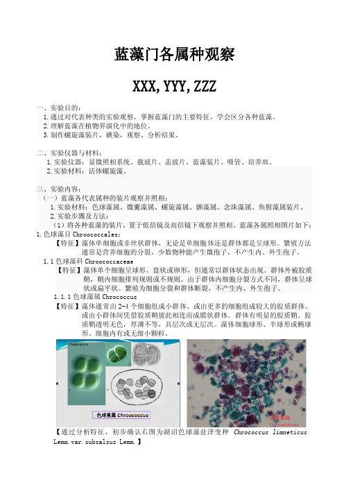 蓝藻形态结构观察与分类
