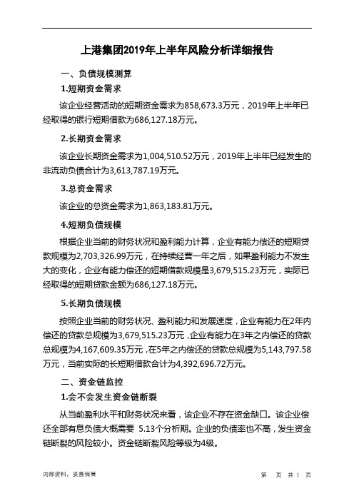 上港集团2019年上半年财务风险分析详细报告
