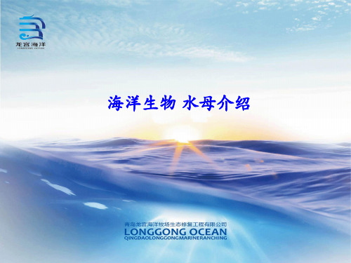 龙宫海洋——水母种类及生活习性