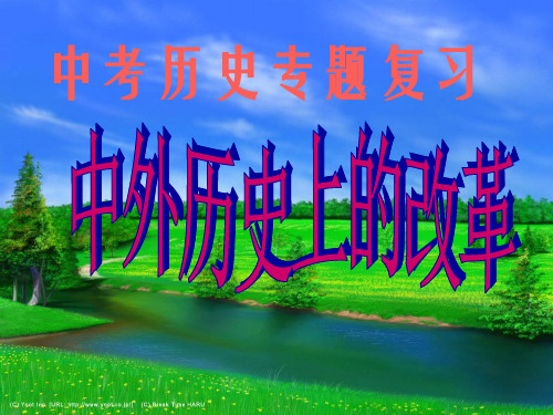 专题复习中外历史上的重大改革