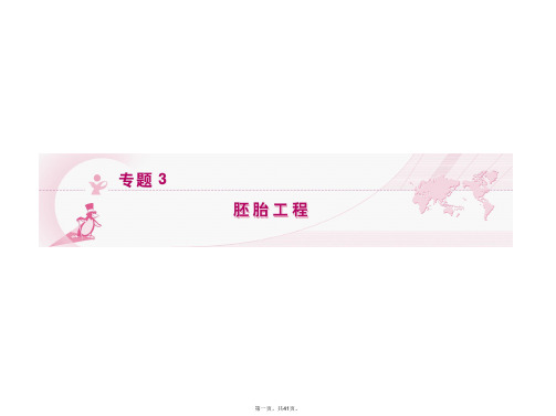 高考生物 第一轮复习 专题 3 胚胎工程精品课件 新人教版选修3