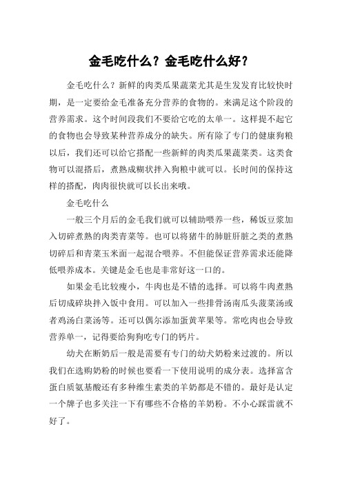 金毛吃什么？金毛吃什么好？