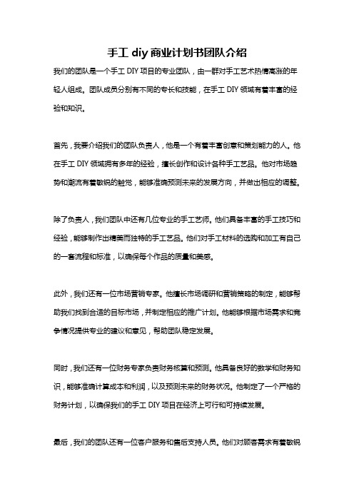 手工diy商业计划书团队介绍