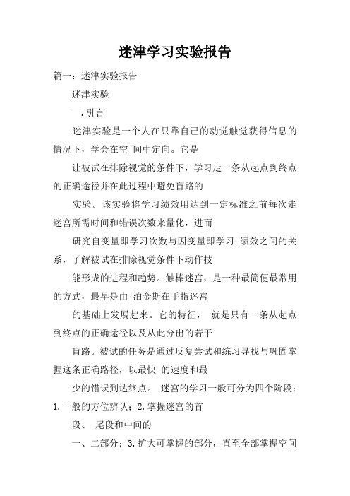 迷津学习实验报告doc