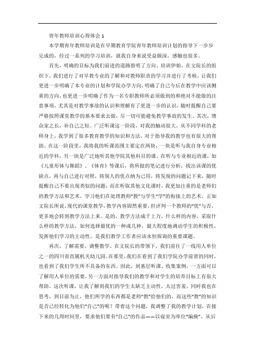 青年教师培训心得体会15篇