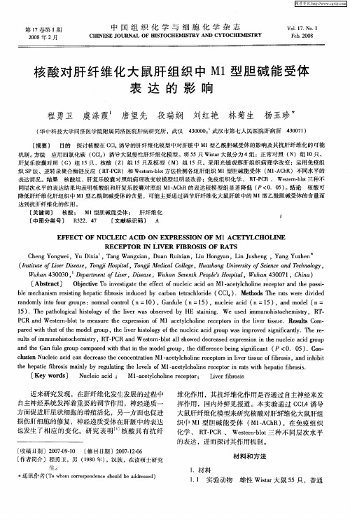 核酸对肝纤维化大鼠肝组织中M1型胆碱能受体表达的影响