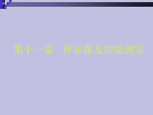临床医学-核医学课件 11肾显像及功能测定