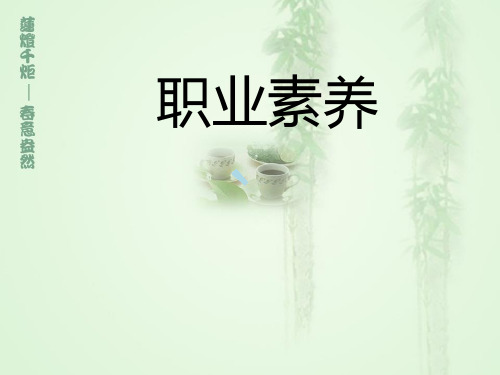 职业规划-职业素养