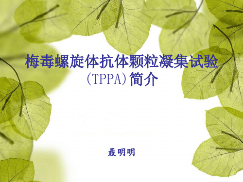 梅毒螺旋体抗体颗粒凝集试验