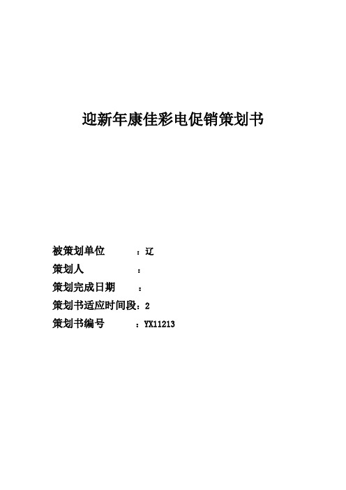 迎新年康佳彩电促销策划书