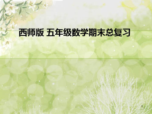 西师版五年级下册数学总复习全部PPT课件