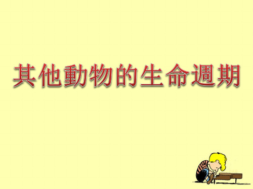 科教版三年级科学课件-其它动物的生命周期