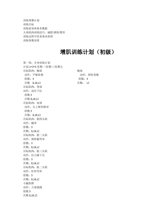 训练周期计划